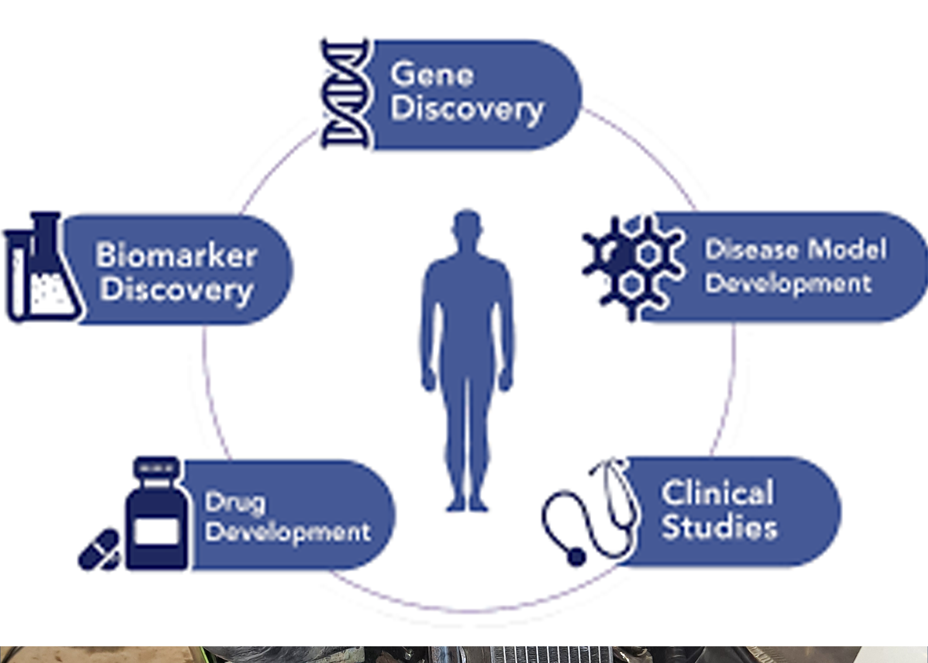 We aren't just waiting for a cure; we’re changing the playing field. Recent breakthroughs in ALS clinical trials are proof that when we bring the community together—from the garage to the gridiron—we accelerate the pace of discovery. By uniting drivers, athletes, and researchers, we’re dismantling the old barriers to treatment and driving a new era of medical hope.
